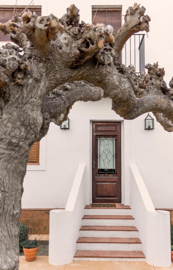 Villa Rebesnéts de Bofranch Deltebre Esterno foto